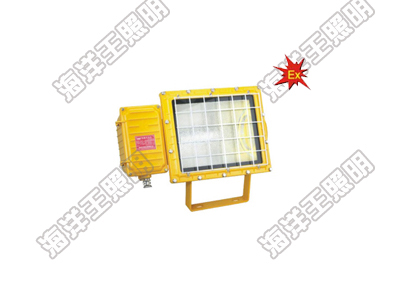 海洋王BTC6150防爆泛光燈_海洋王照明科技股份有限公司