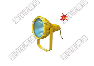 海洋王BTC8210防爆投光燈_海洋王照明科技股份有限公司