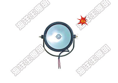 海洋王DGY100/24防爆泛光工作燈_海洋王照明科技股份有限公司