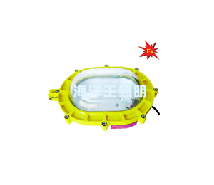 海洋王BFE8120內(nèi)場防爆應(yīng)急燈_海洋王照明科技股份有限公司