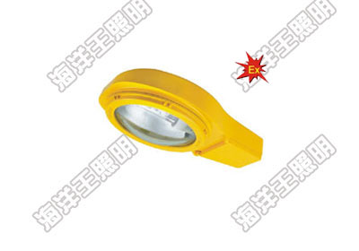 海洋王BLC8610防爆道路燈_海洋王照明科技股份有限公司